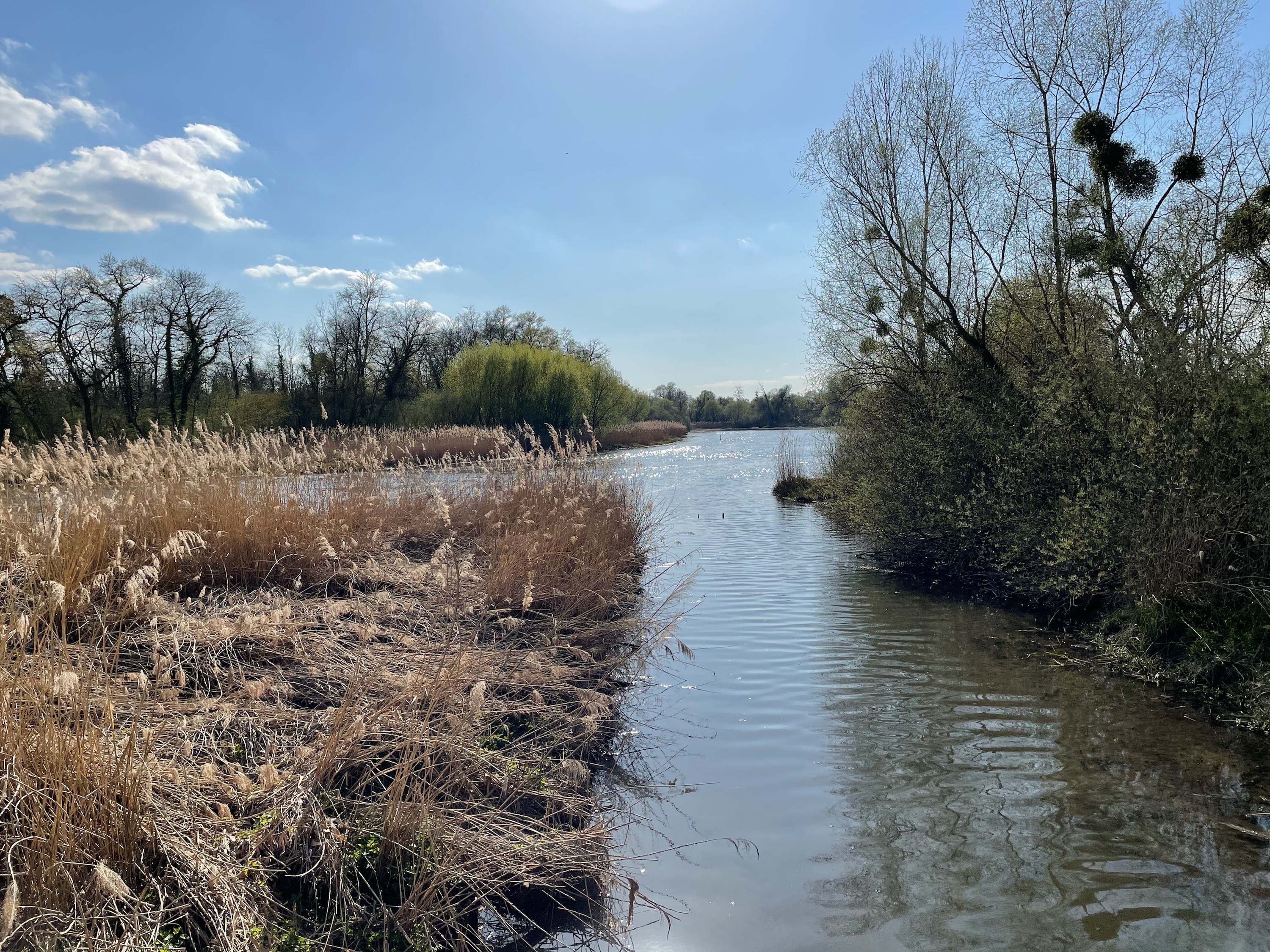 Dalhunden, Sentier de découverte du Hellwasser - Paysage