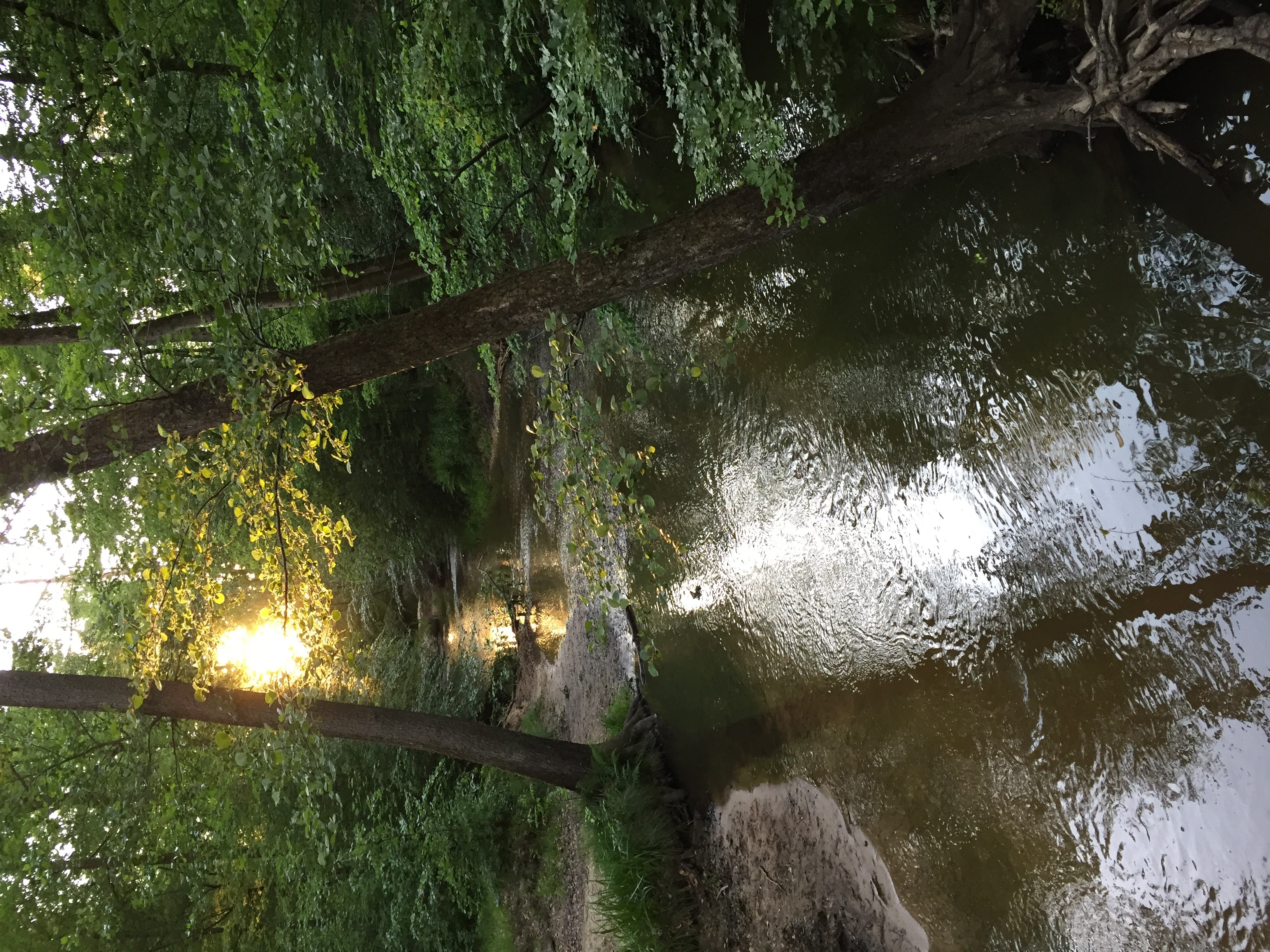 Entre Eberbach et Sauer