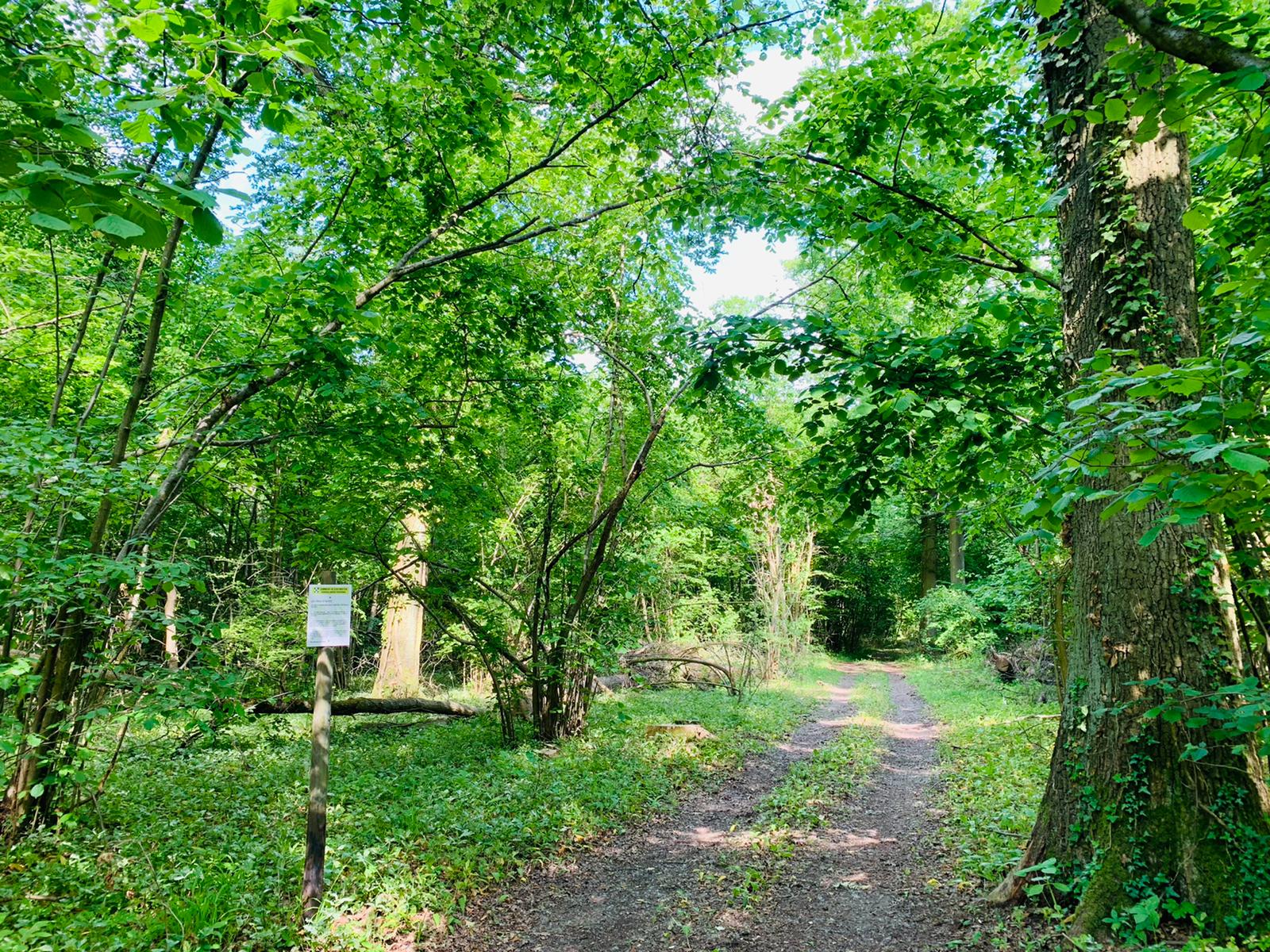 PHOTO-2021-06-03-17-36-33-min