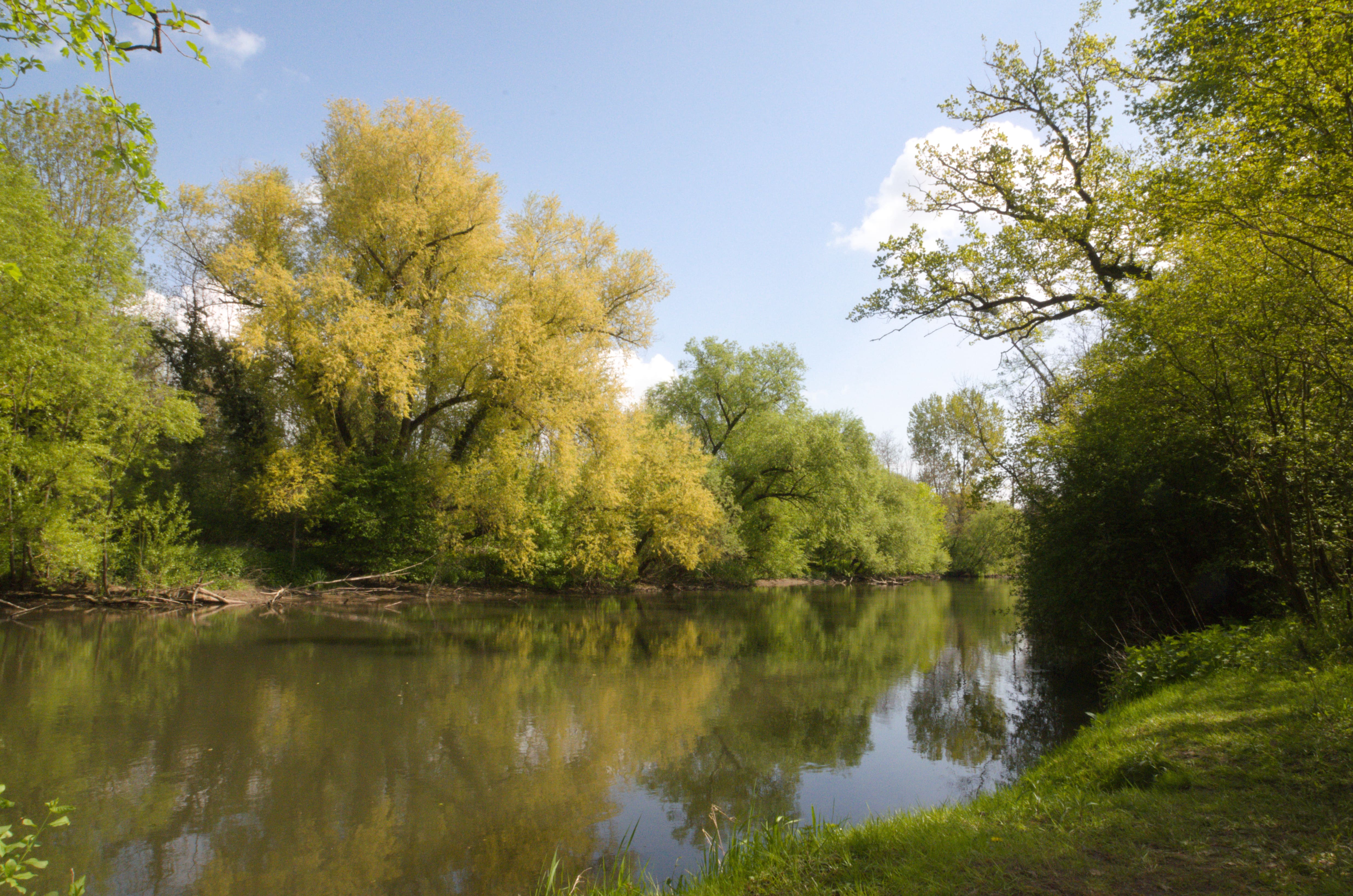 Weckmann et la Moder 1