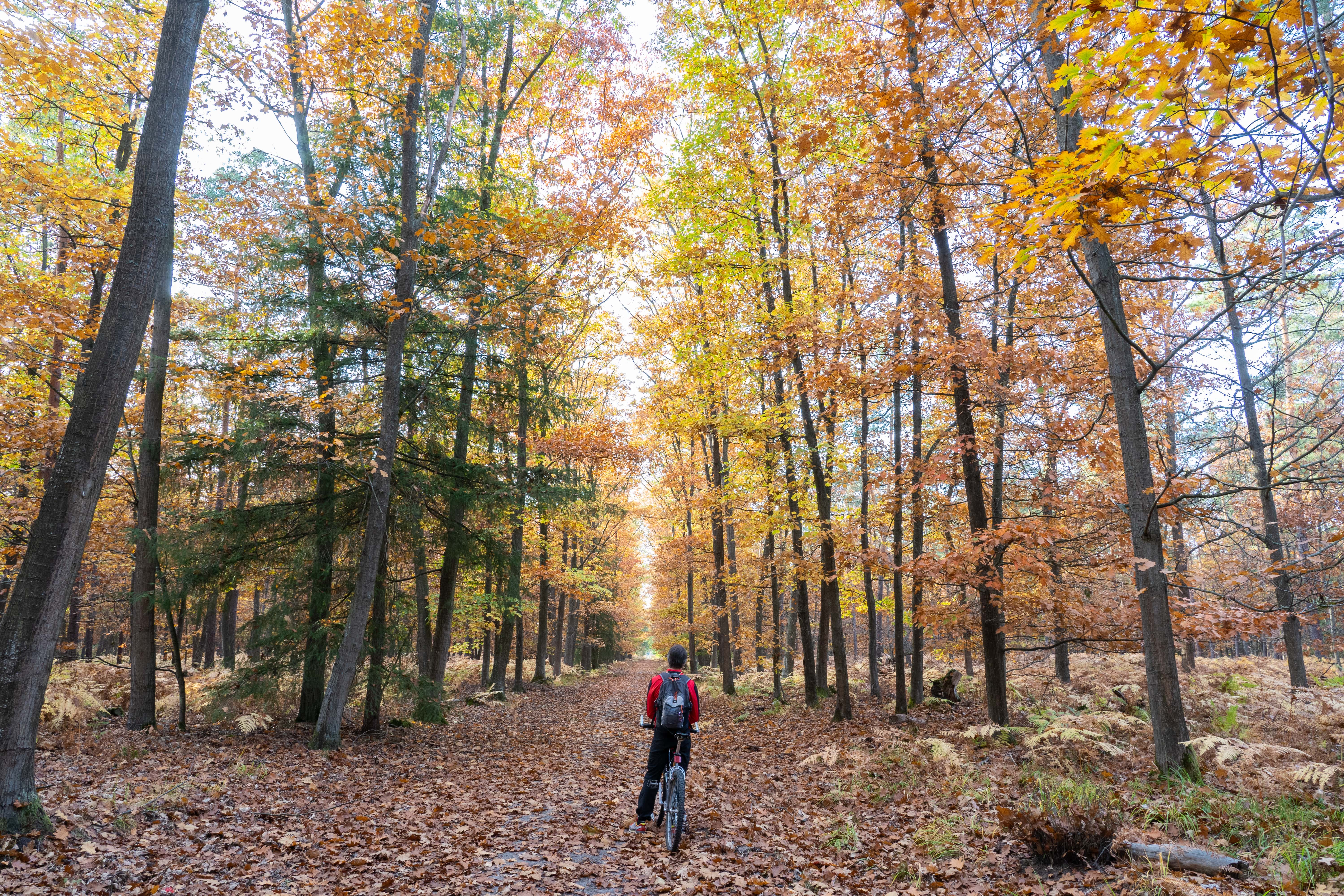 Circuit vélo Arbogast-min