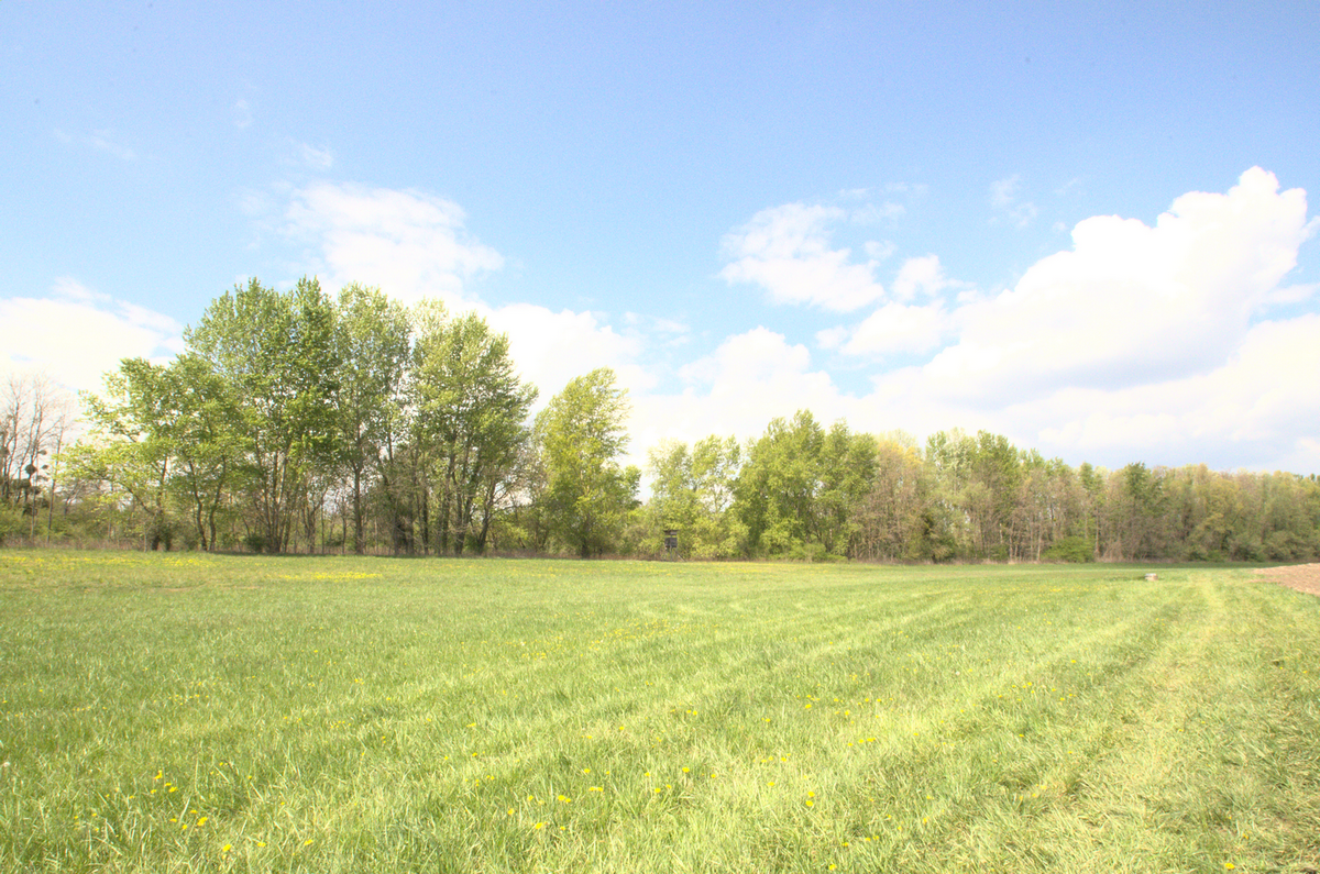 004_entre-champs-et-bois-de-Dalhunden-_3_redim